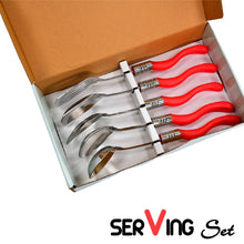 Stainless steel spoon set for serving, 5 pieces